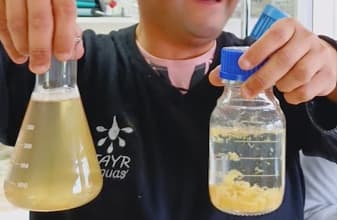 Abatimiento de materia orgánica con ozono