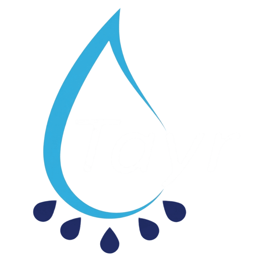 Tayr