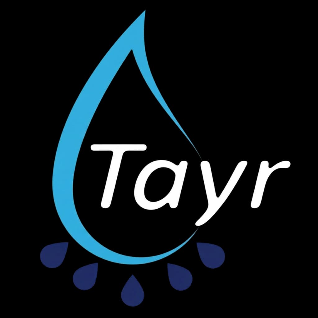 Tayr
